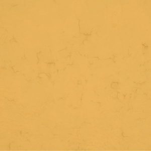 decorative orange square
