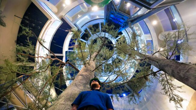 Orlando Science Center LIFE Exhibit